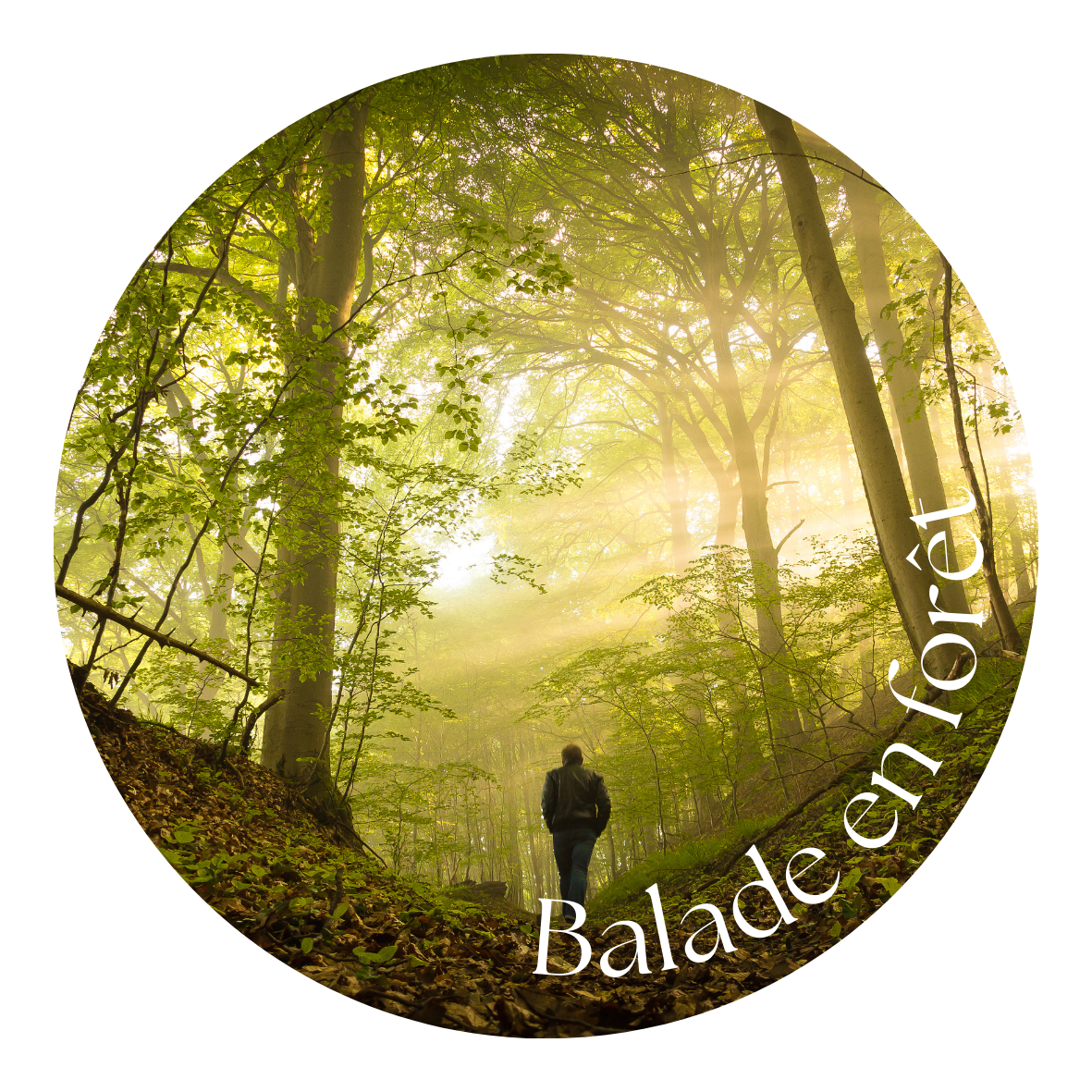 Balade en forêt