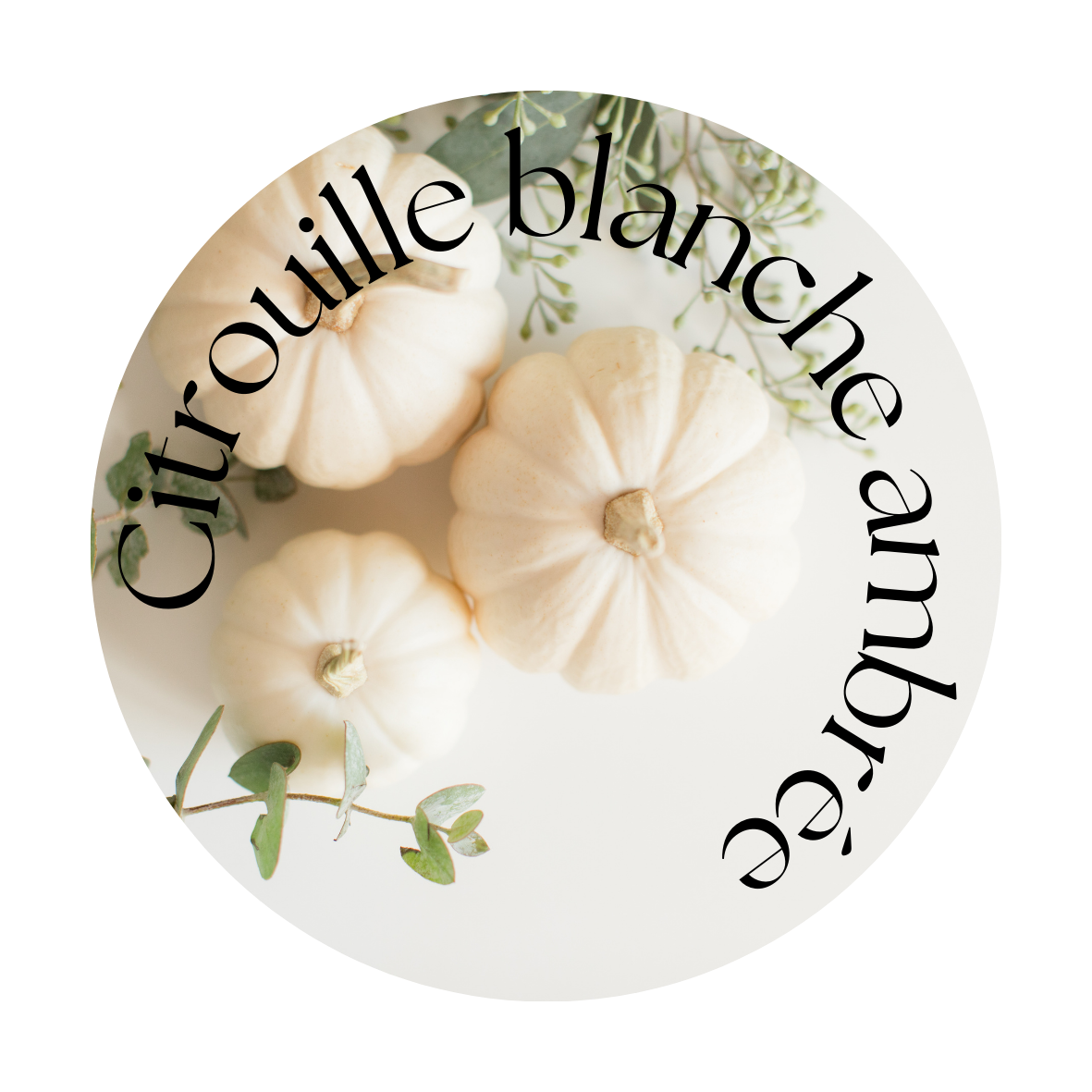 Citrouille blanche ambrée