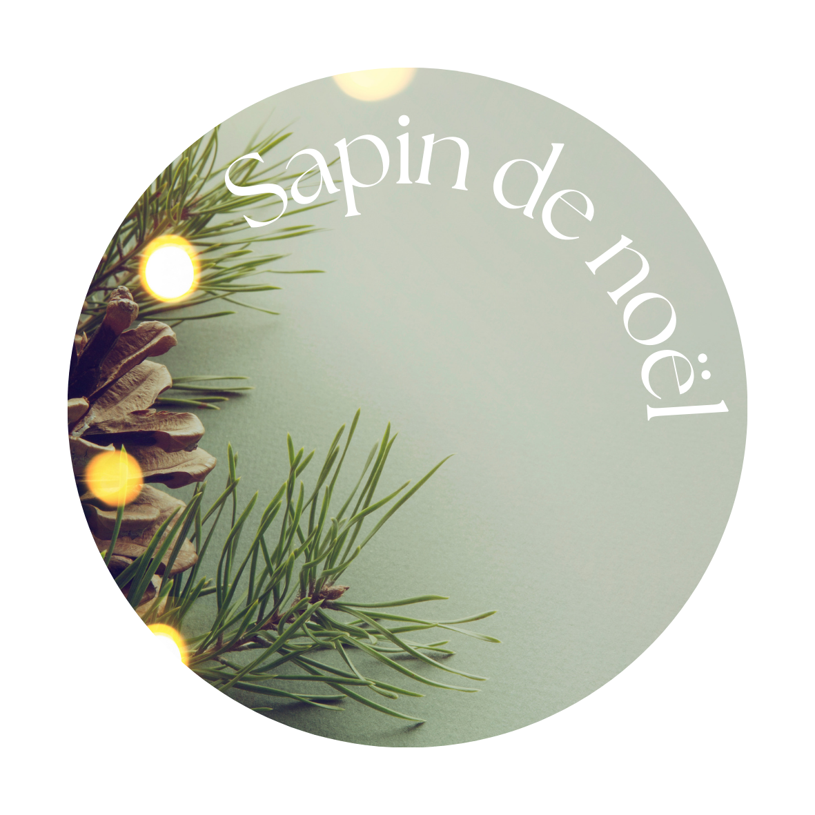 Sapin de Noël