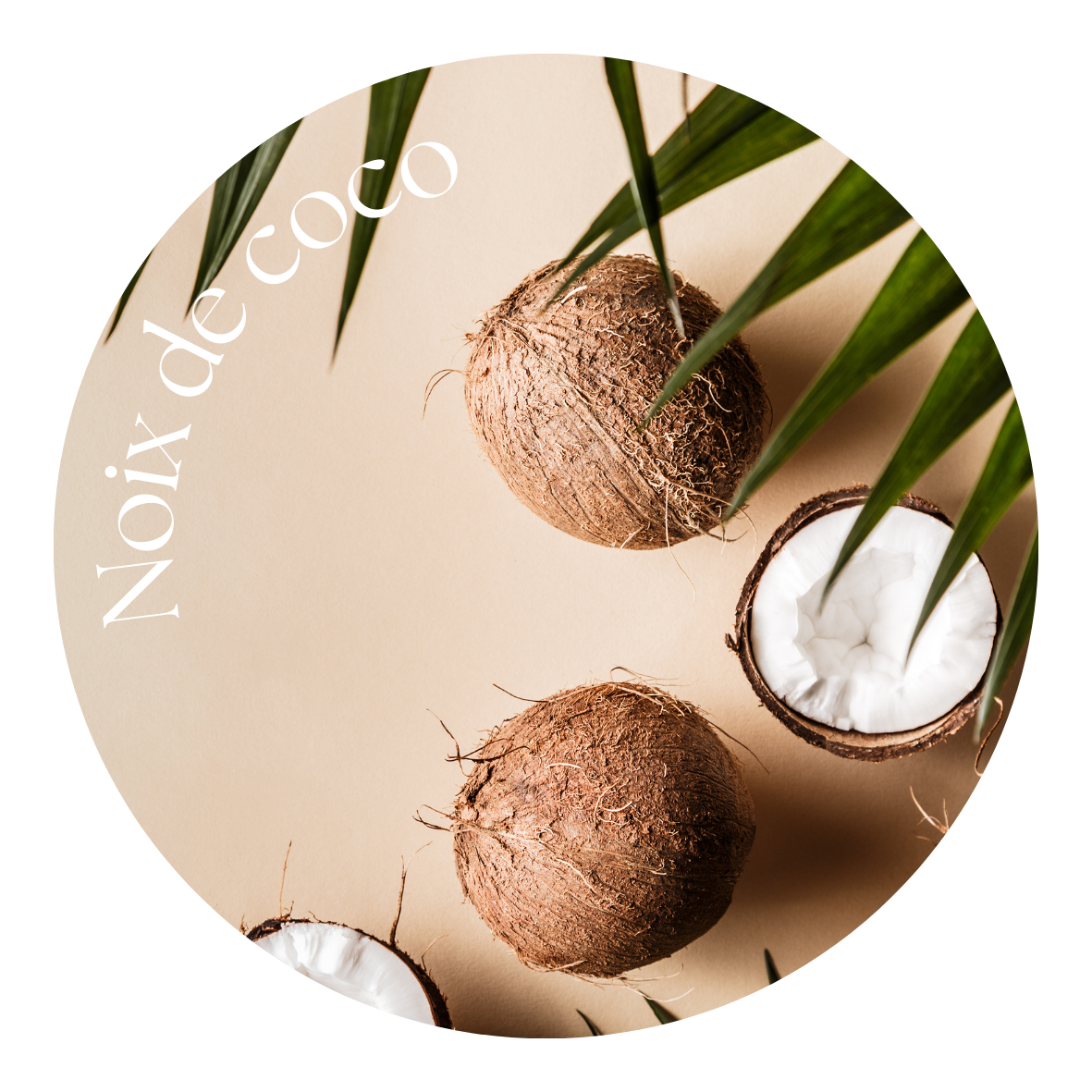 Noix de Coco