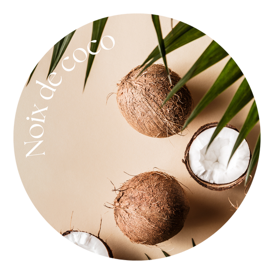 Noix de Coco