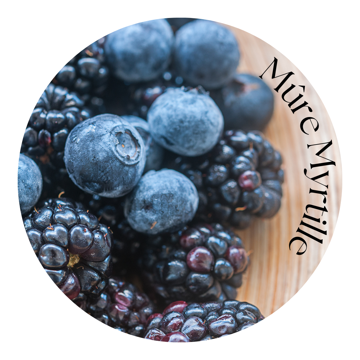 Mûre Myrtille