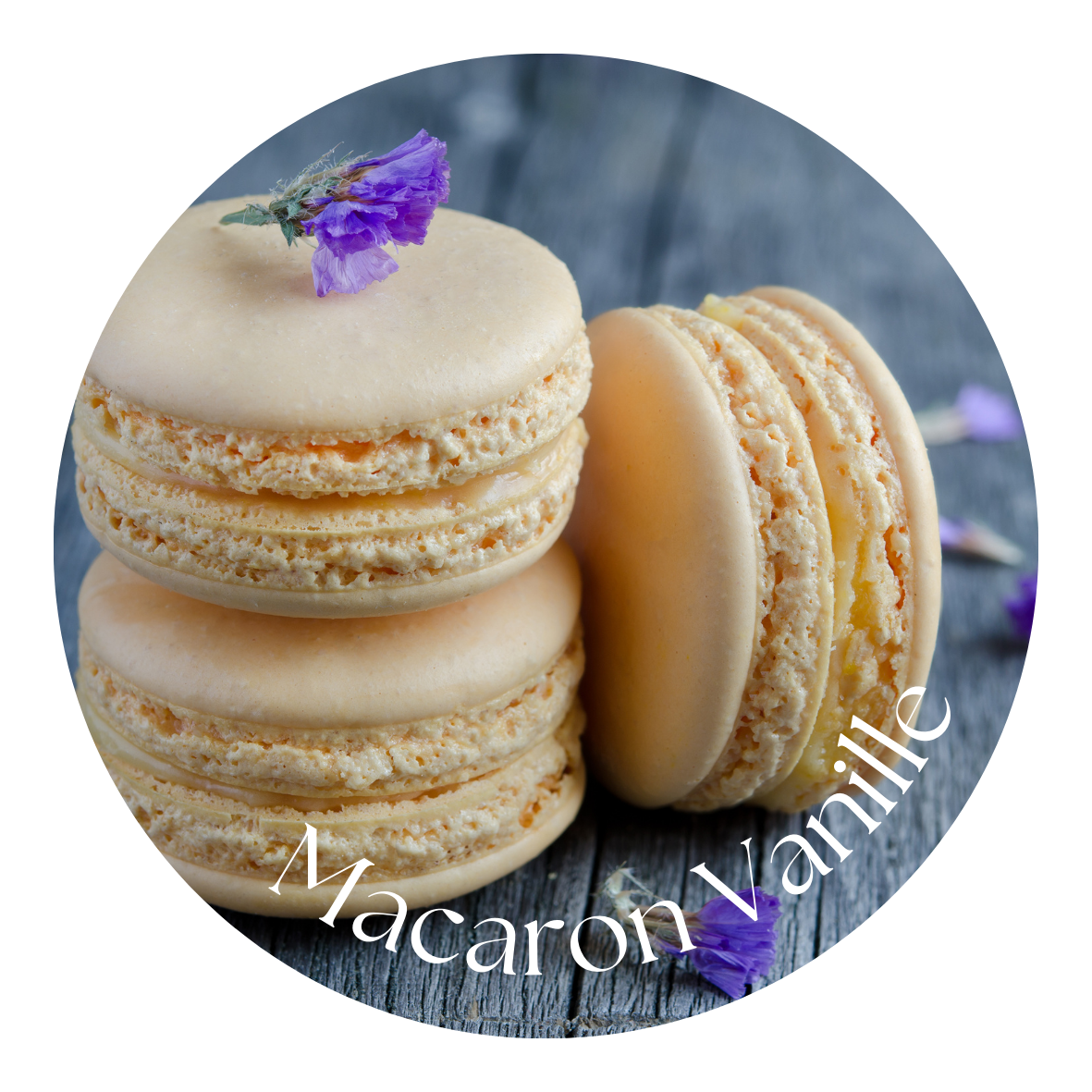 Macaron Vanille