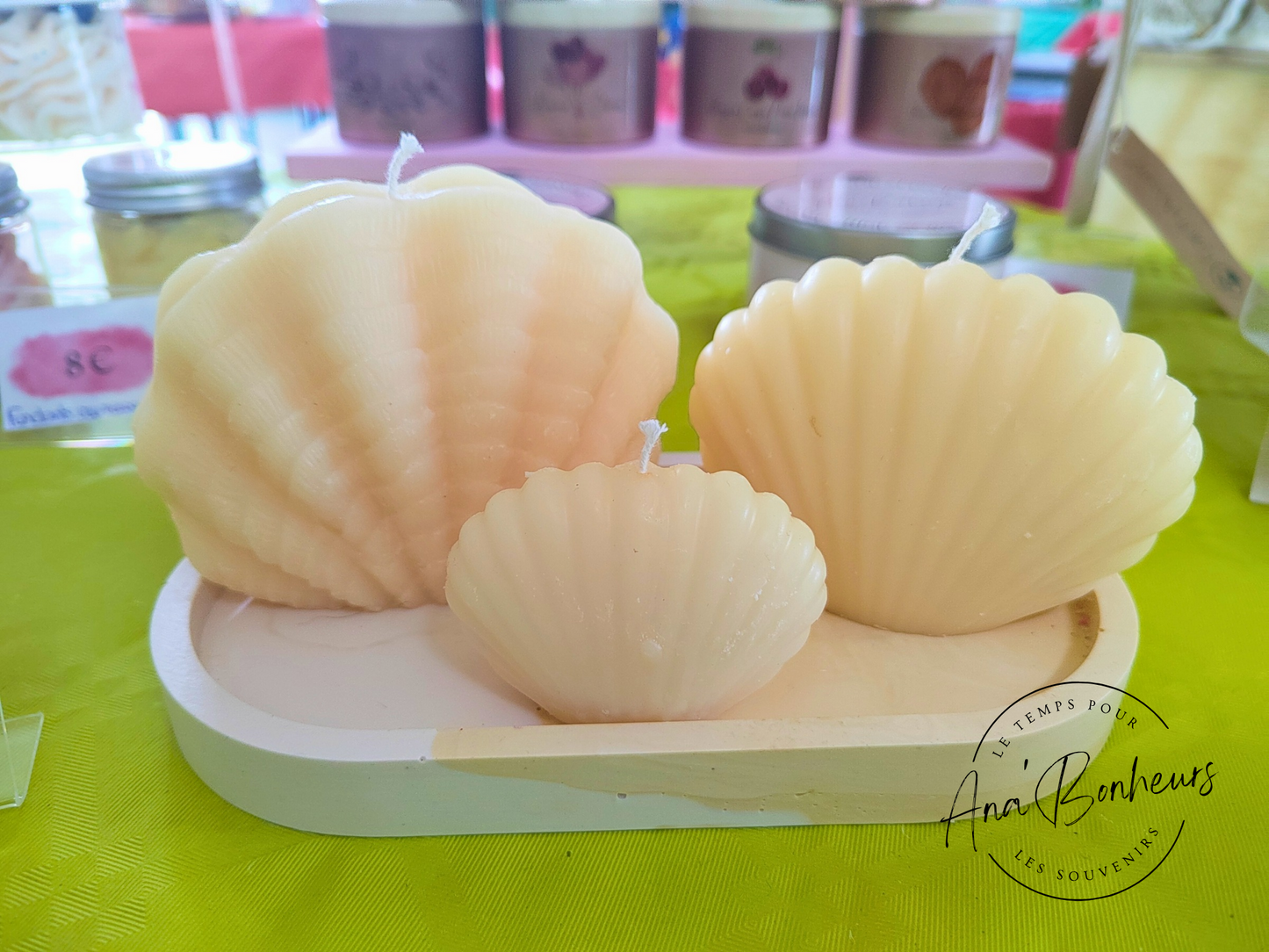 Ensemble bougies coquillages
