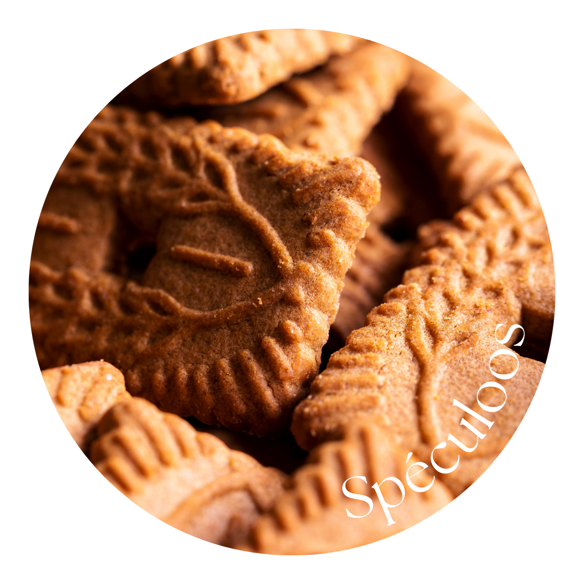 Spéculoos