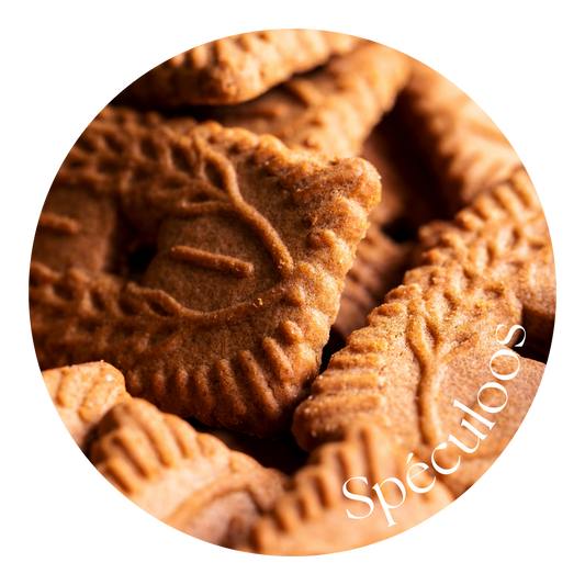 Spéculoos