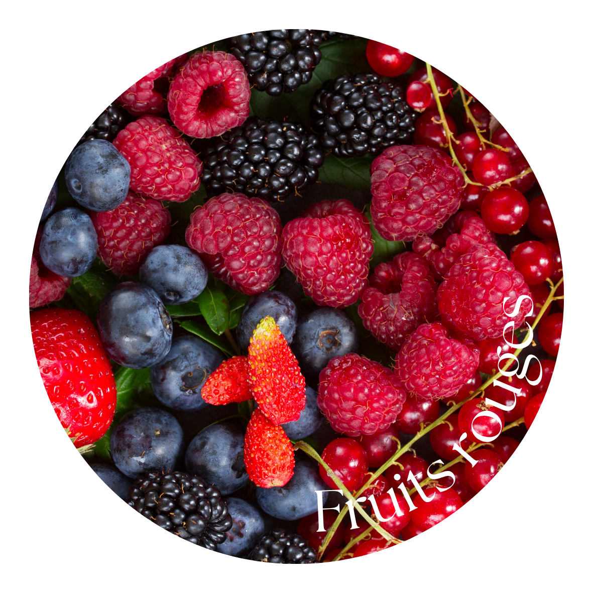 Fruits rouges