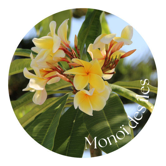Monoï des îles