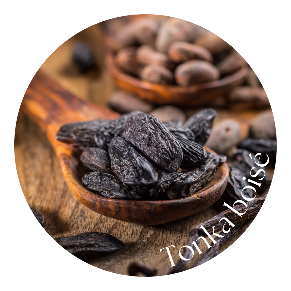 Tonka boisé