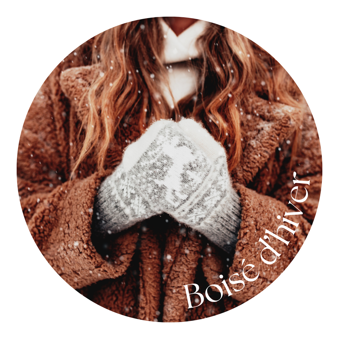 Boisé d'hiver