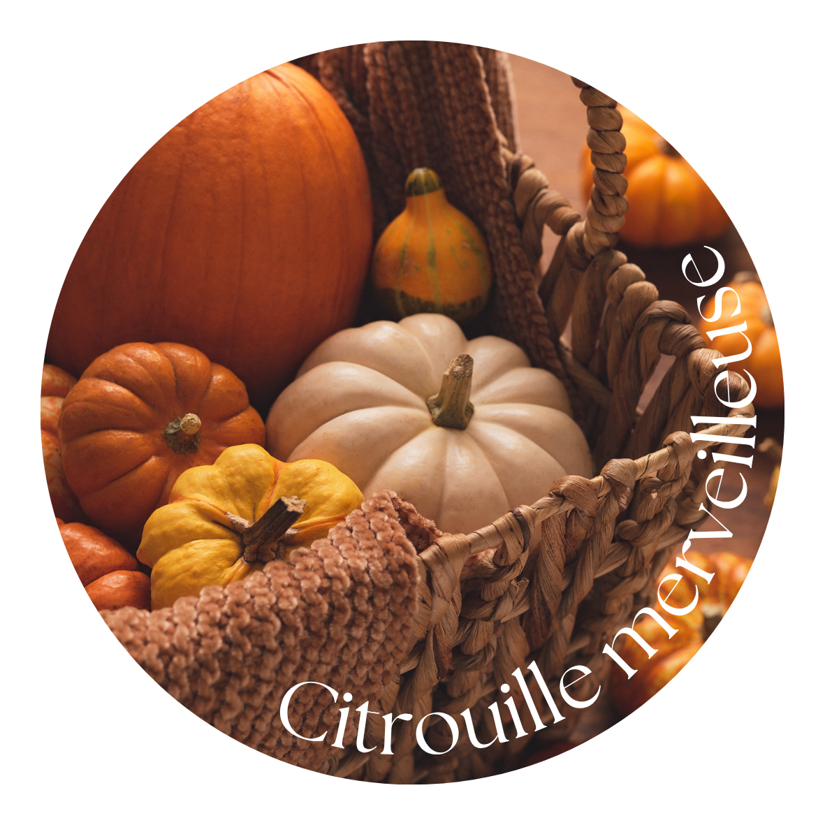 Citrouille merveilleuse
