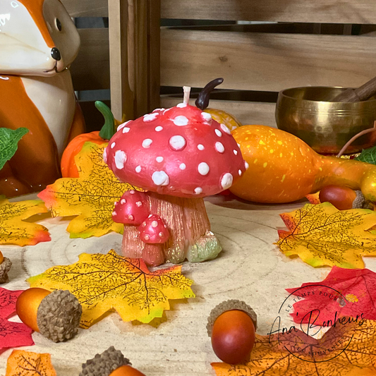 Bougie champignon