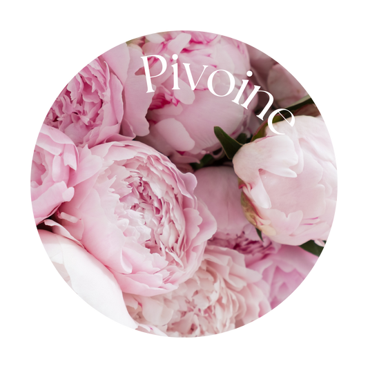 Pivoine