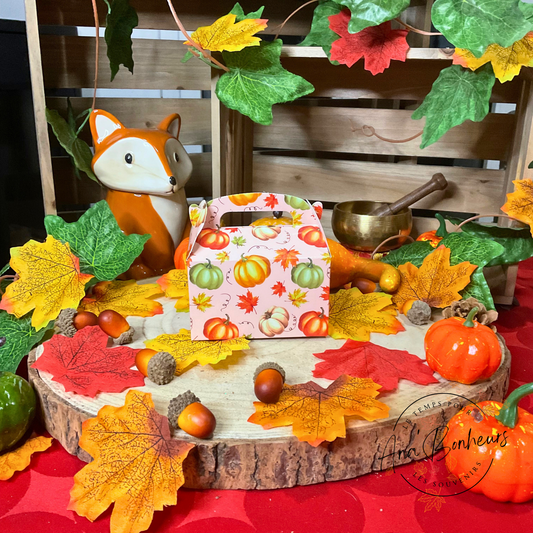 Mini coffret Automne