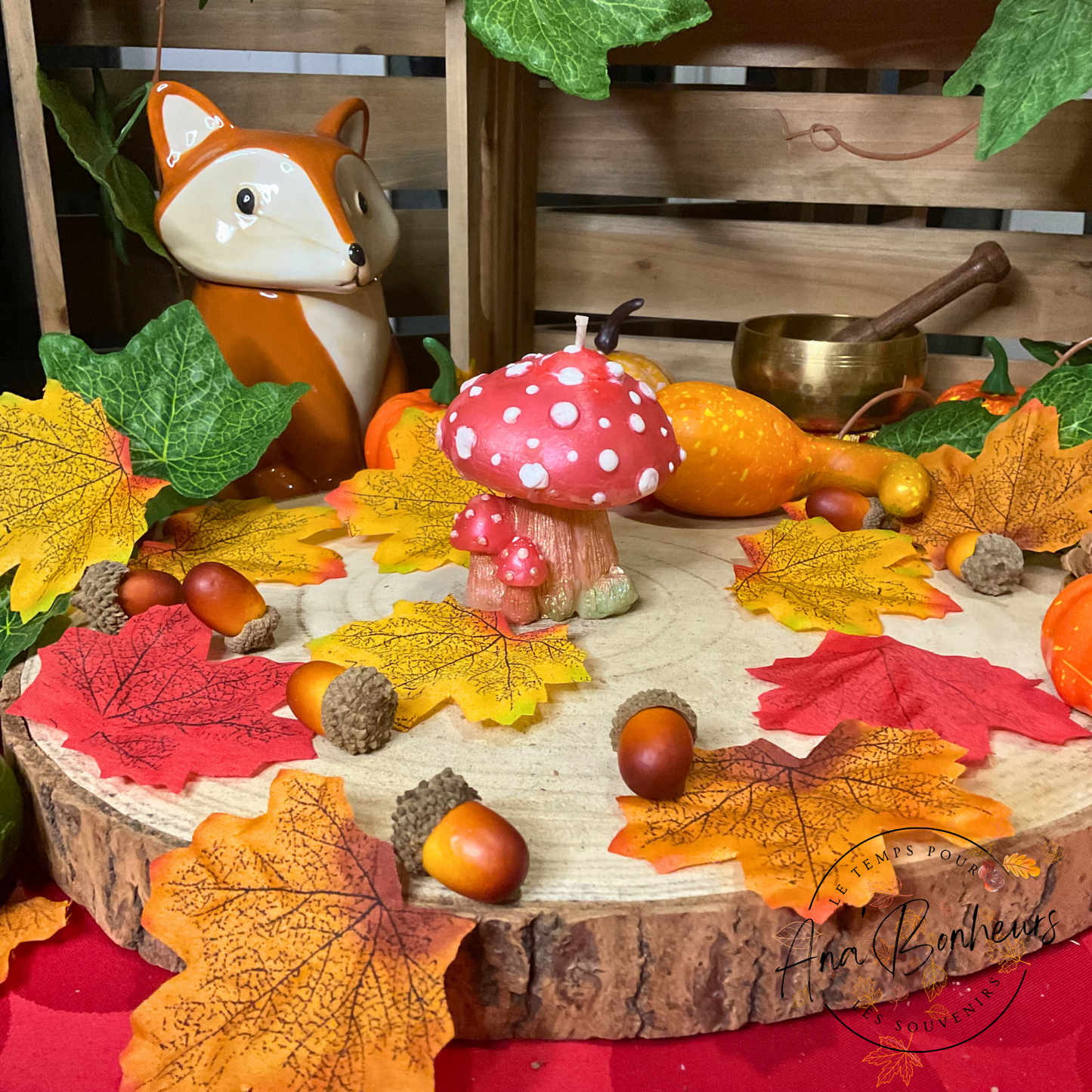 Bougie champignon