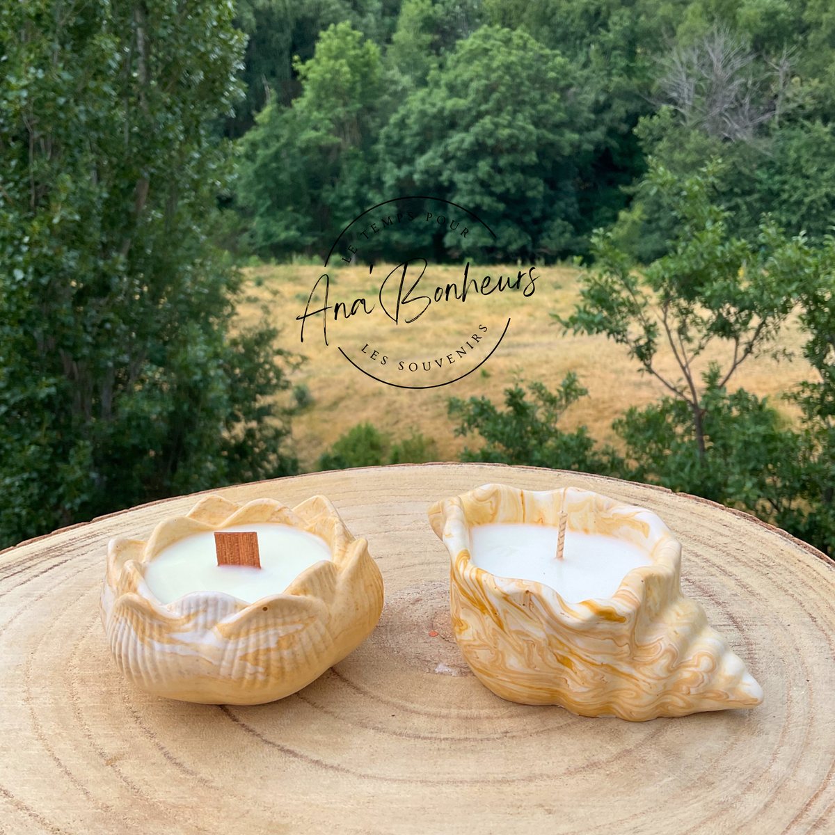 Bougies Parfumées Coquillage Nacré Décoratives - Forme Coquille Perle Pour Maison Et Fêtes