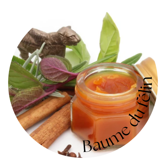 Baume du félin