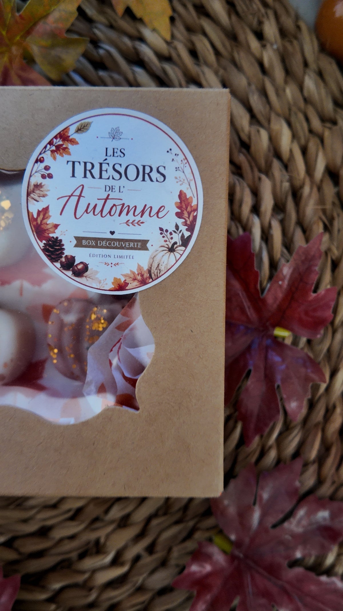 Les trésors de l'automne