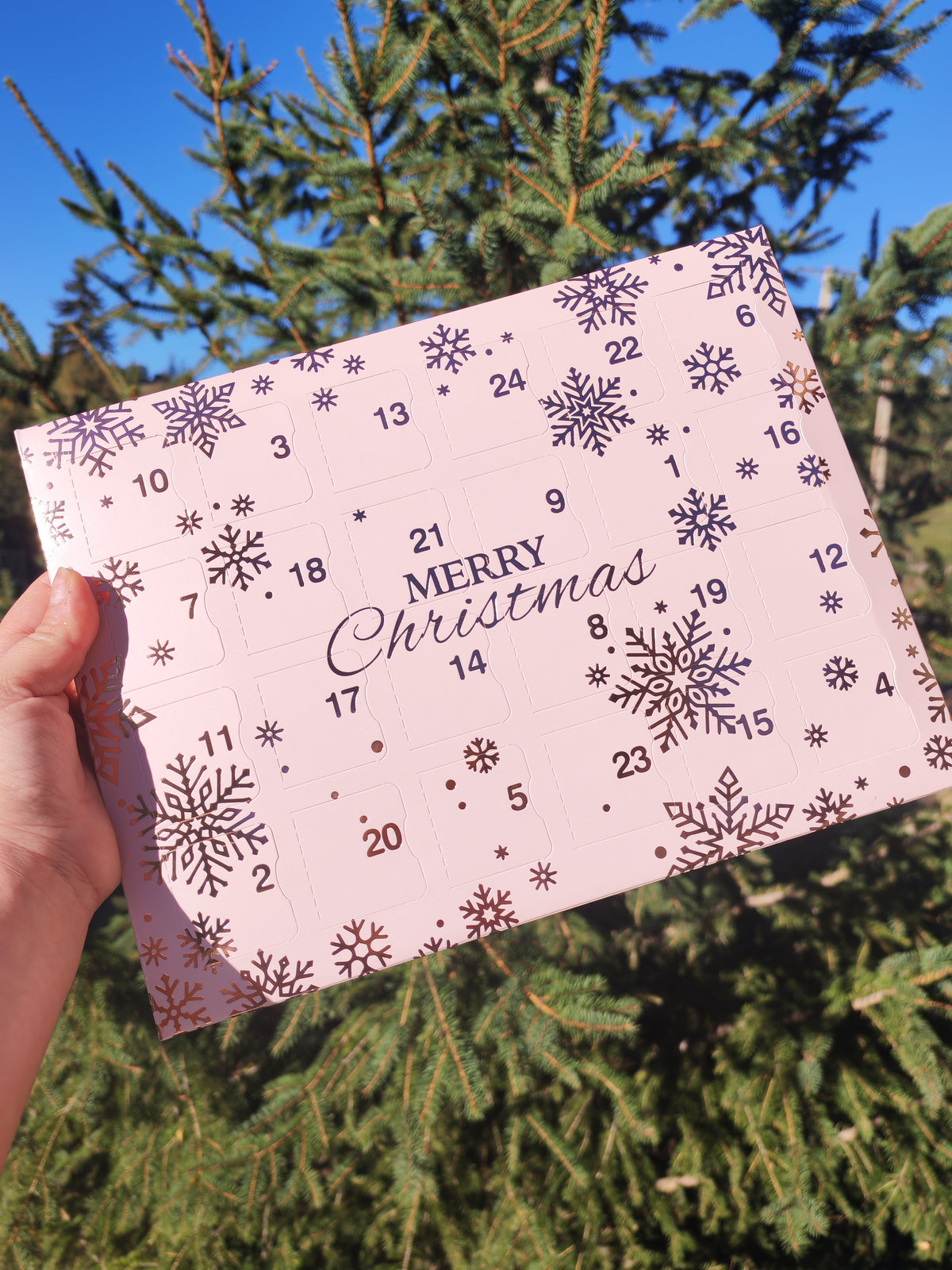 Pré-commande Calendrier de l'avent