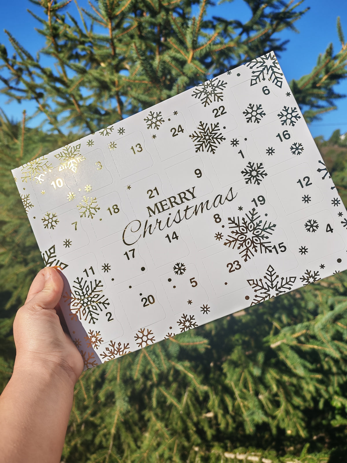 Pré-commande Calendrier de l'avent