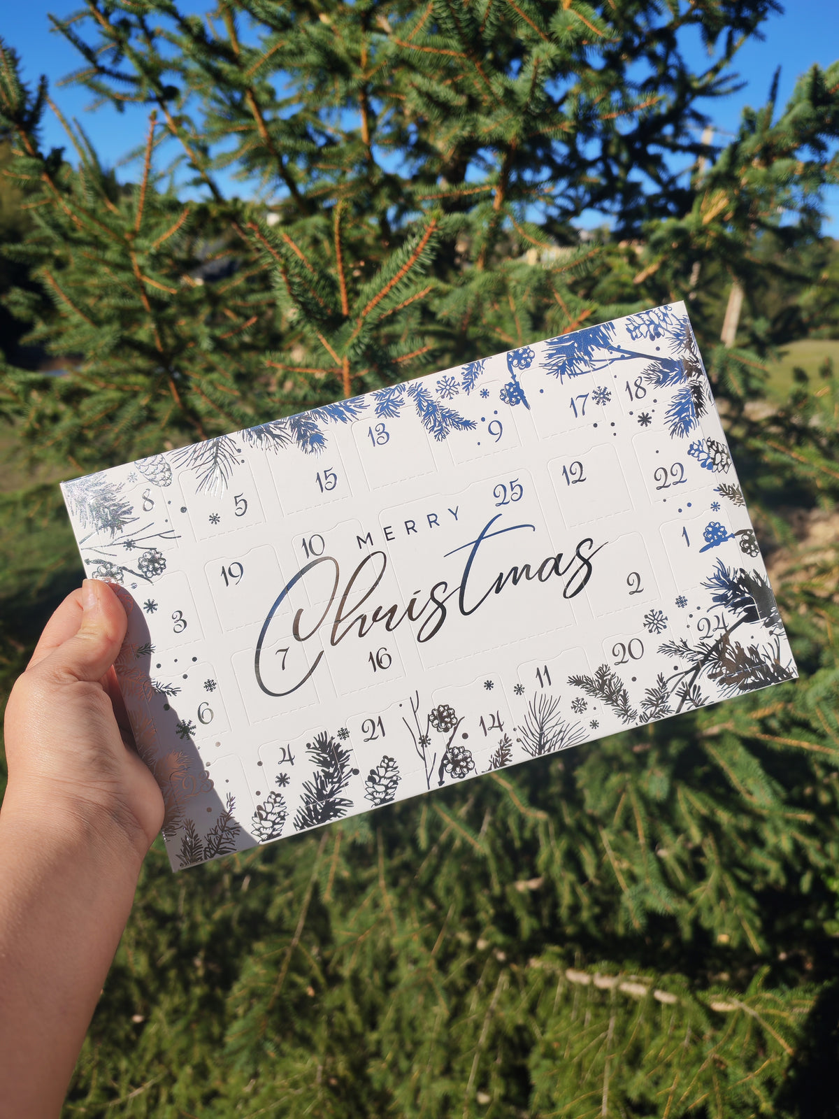 Pré-commande Calendrier de l'avent