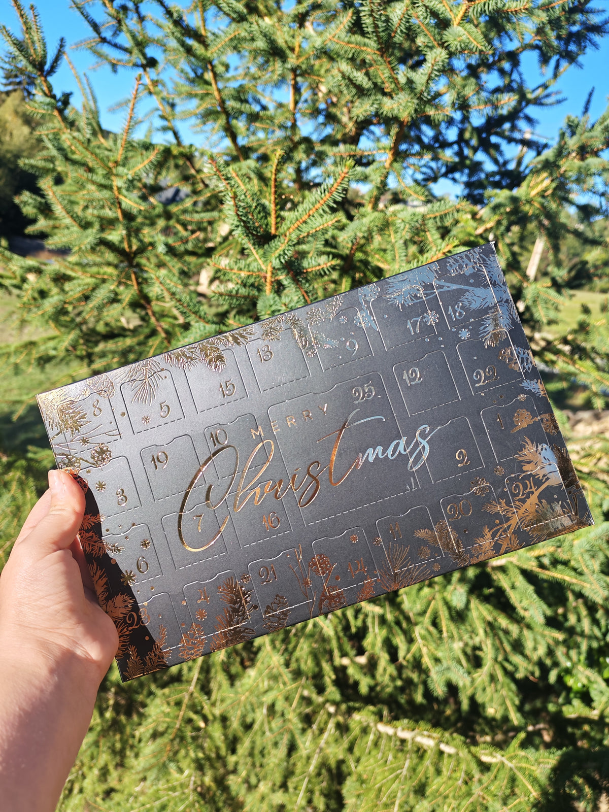 Pré-commande Calendrier de l'avent