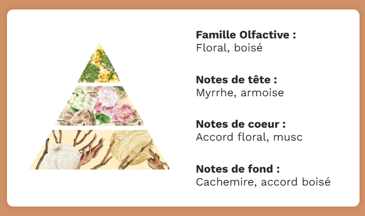 Cachemire et soie