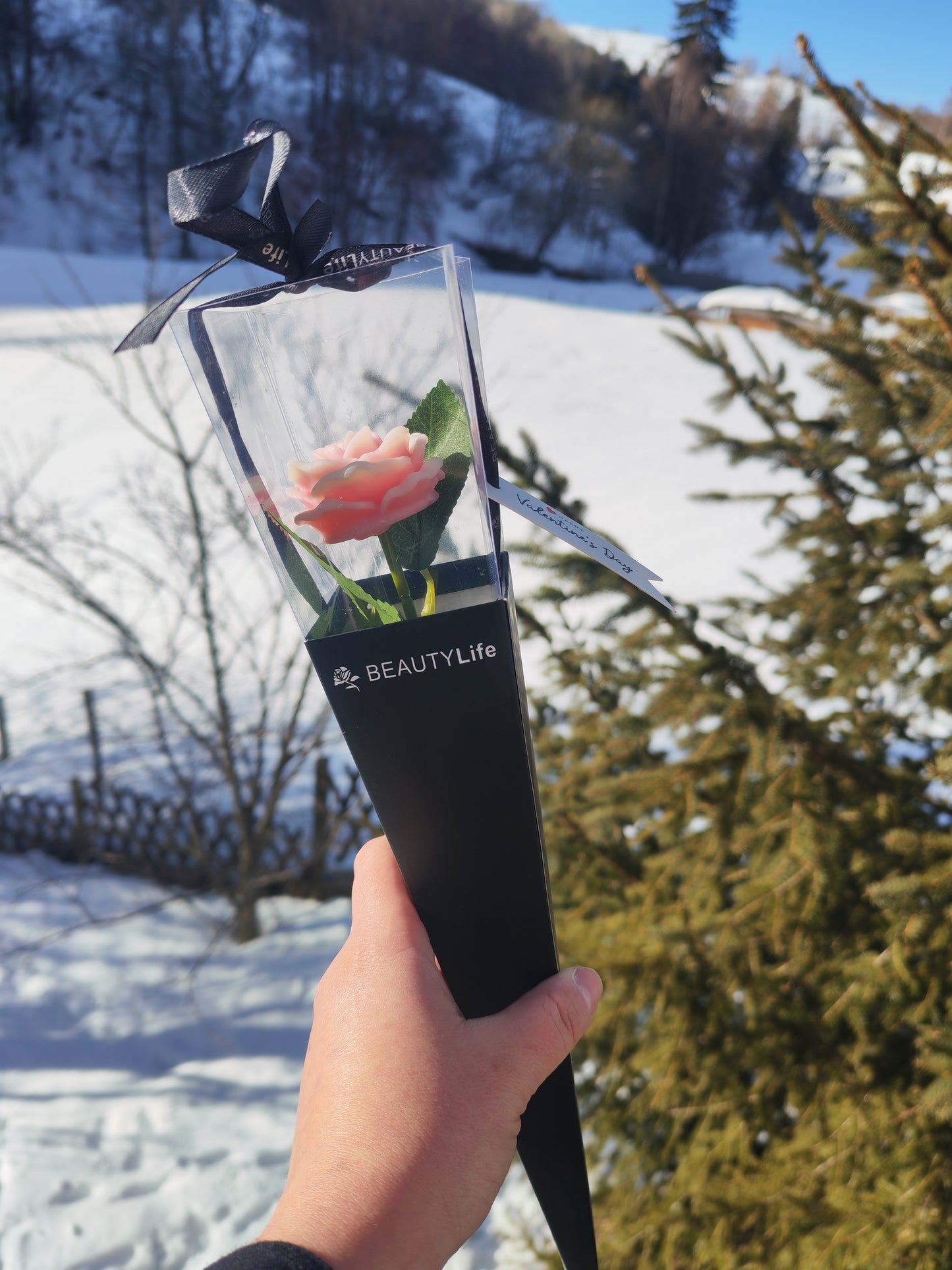 Fleur Saint-Valentin