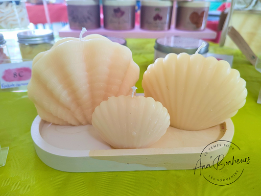 Ensemble bougies coquillages