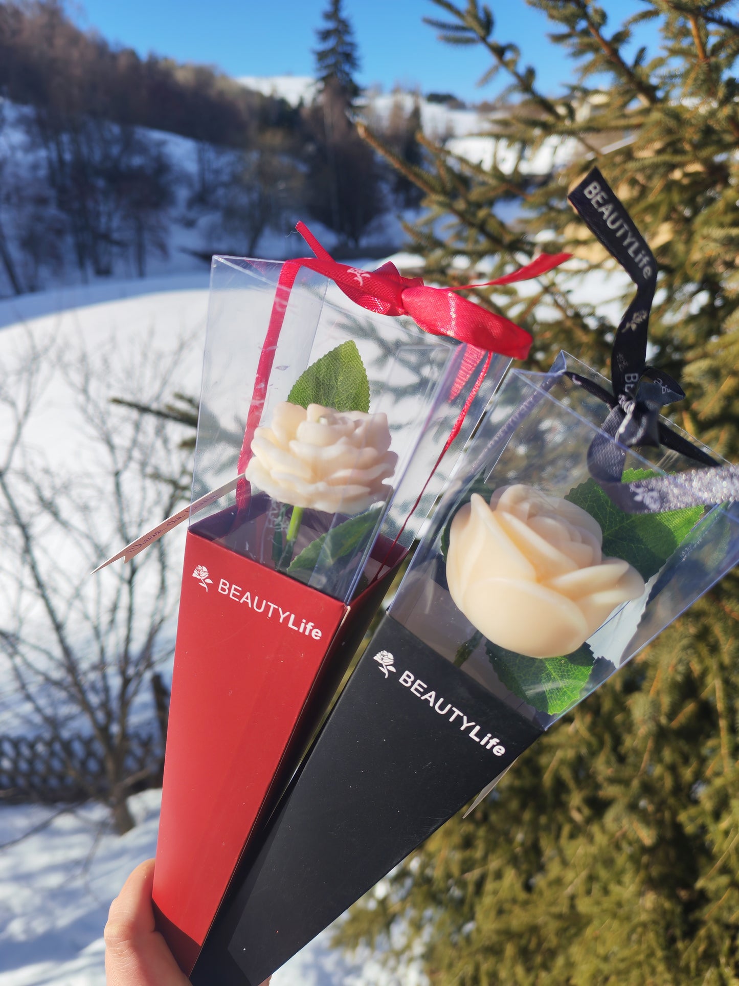 Fleur Saint-Valentin